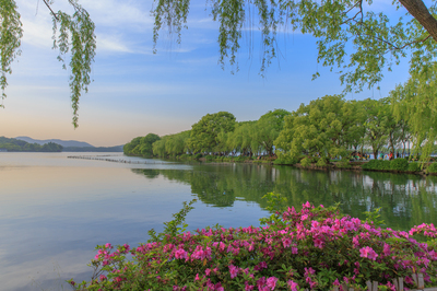 詩畫西湖·春曉蘇堤——邀您共赴一場千年風(fēng)雅的春日之約