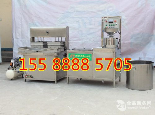 全自動豆腐皮機(jī) 產(chǎn)品性能與價格行情全解析